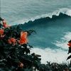 chvz91cali_